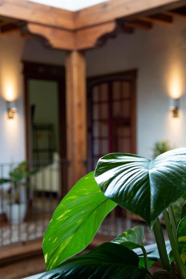 La Casa Del Medico Hosteria Rural Urda Ngoại thất bức ảnh